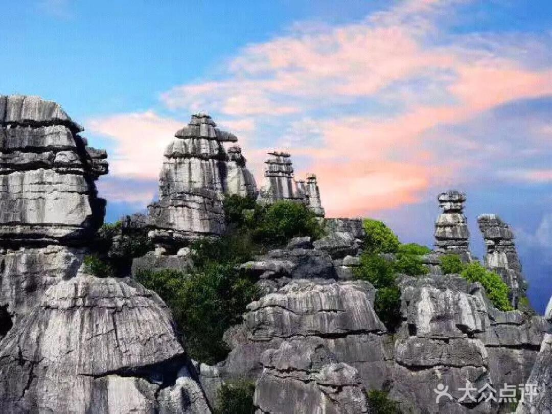 Stone Forest Mijia Guest House Shilin Extérieur photo