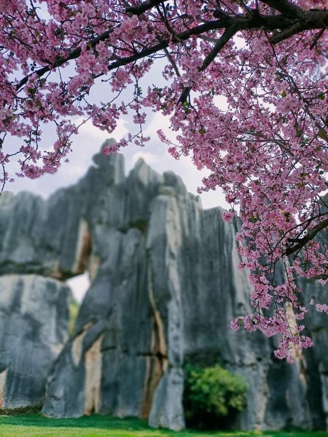 Stone Forest Mijia Guest House Shilin Extérieur photo